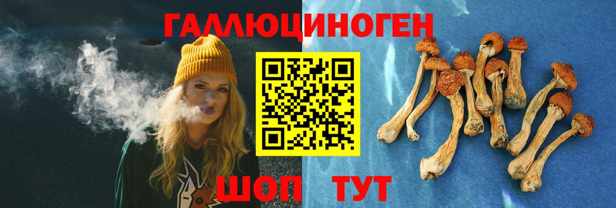 Галлюциногенные грибы мухоморы  Псилоцибиновые грибы мицелий  Михайловск  Вход с VPN 